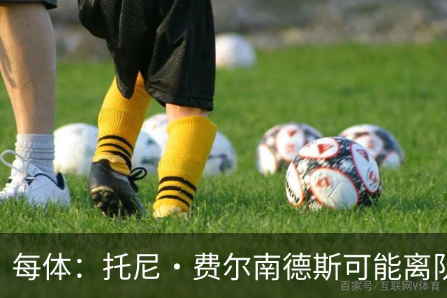 每体：托尼·费尔南德斯可能离队，塞维利亚和阿拉维斯对其有意